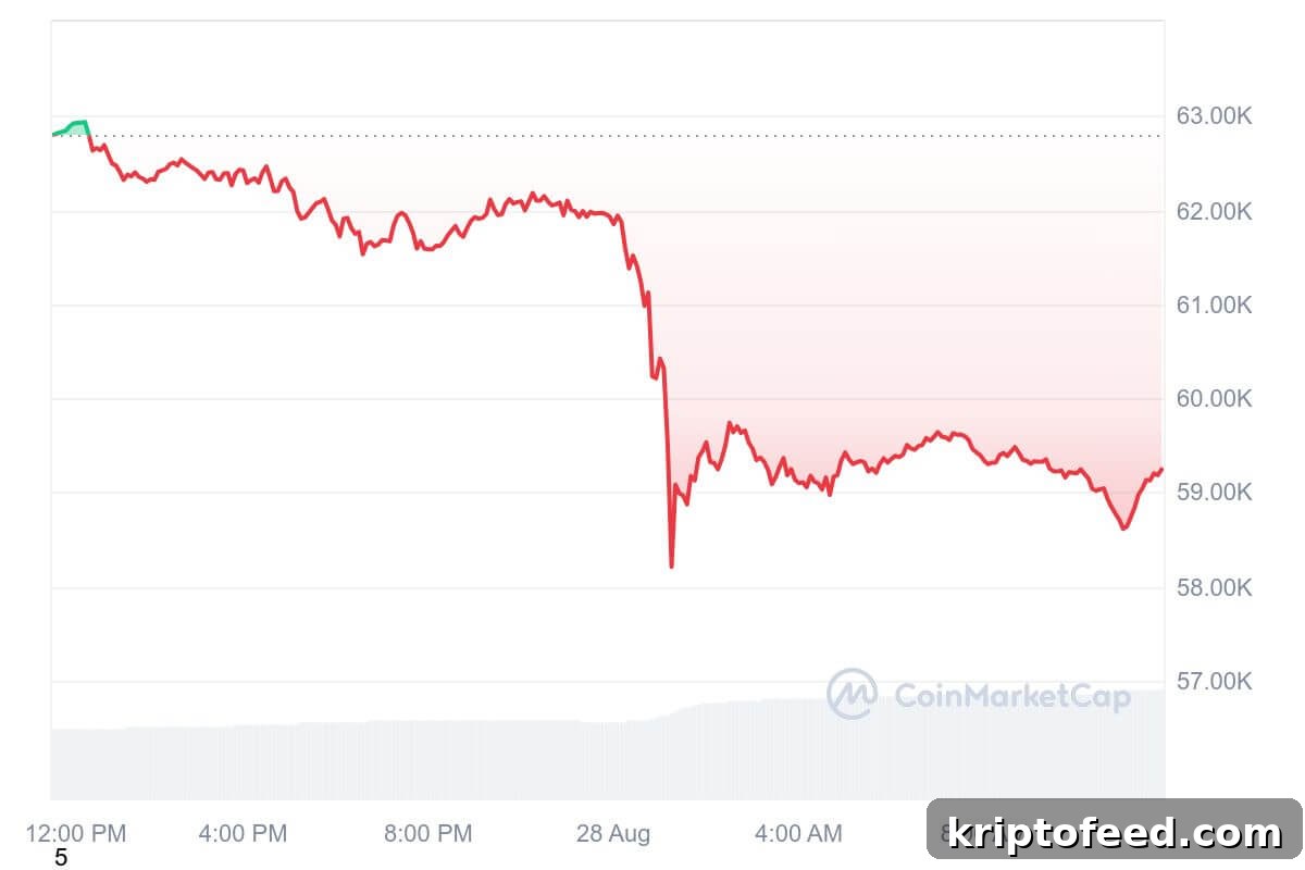 img 223674 1