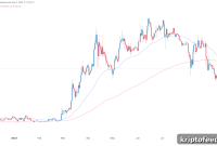 Bitcoin Dogs Could Enter Beast Mode if Crypto Recovers