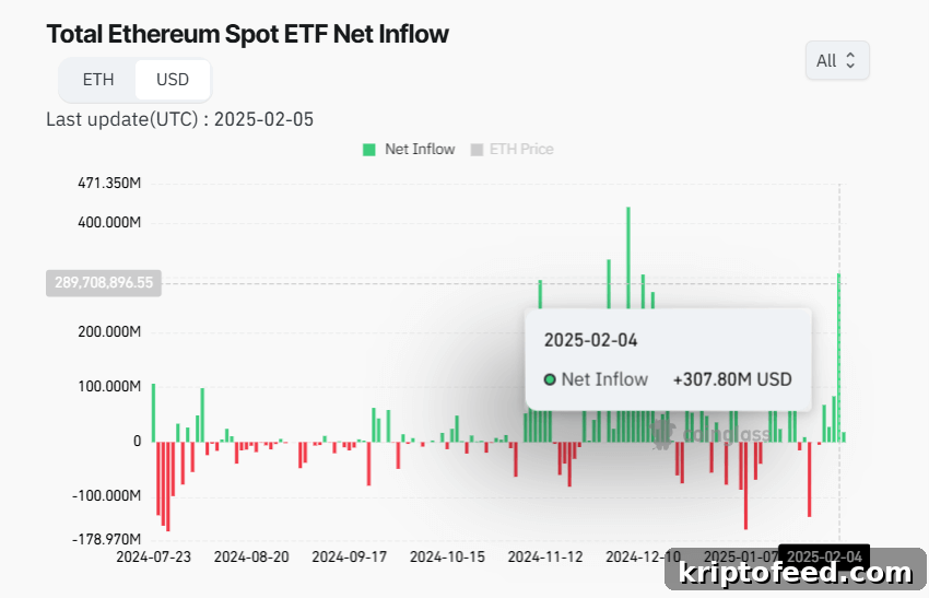Cboe Seeks U.S. SEC Approval for Spot Ethereum ETF Options 2 Total net inflows of Ethereum Spot ETF