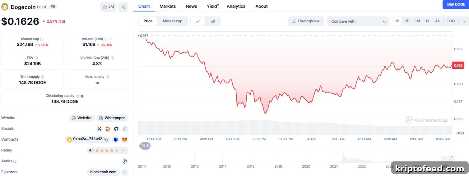 Dogecoin Whale Activity to Surge in March 2025; Target Price $0.25 2 img 288716 1
