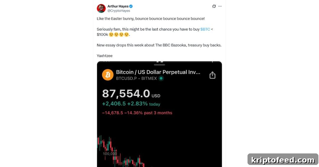 Is Bitcoin Headed to $100K? Hayes Points to Treasury Buybacks and Weak Dollar 2 img 296937 1