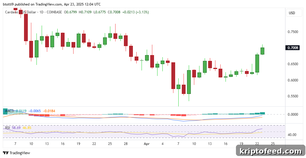 Cardano Price Forecast: Are ADA Bulls Poised to Reclaim $1? 2 img 298764 1