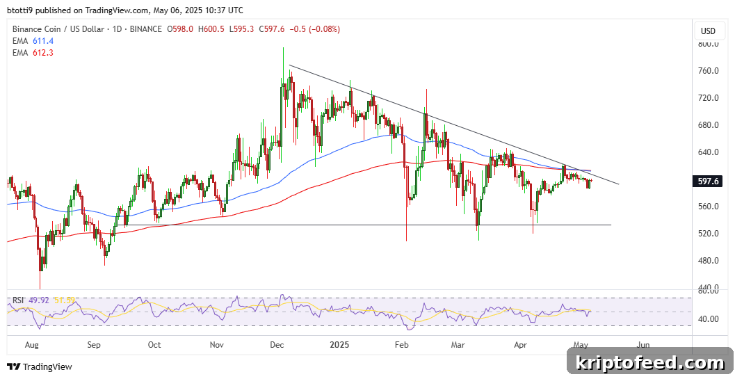 Binance Coin Price Outlook Amid Kyrgyzstan’s Potential BNB Reserves 2 A Chart of Binance Coin BNB From TradingView