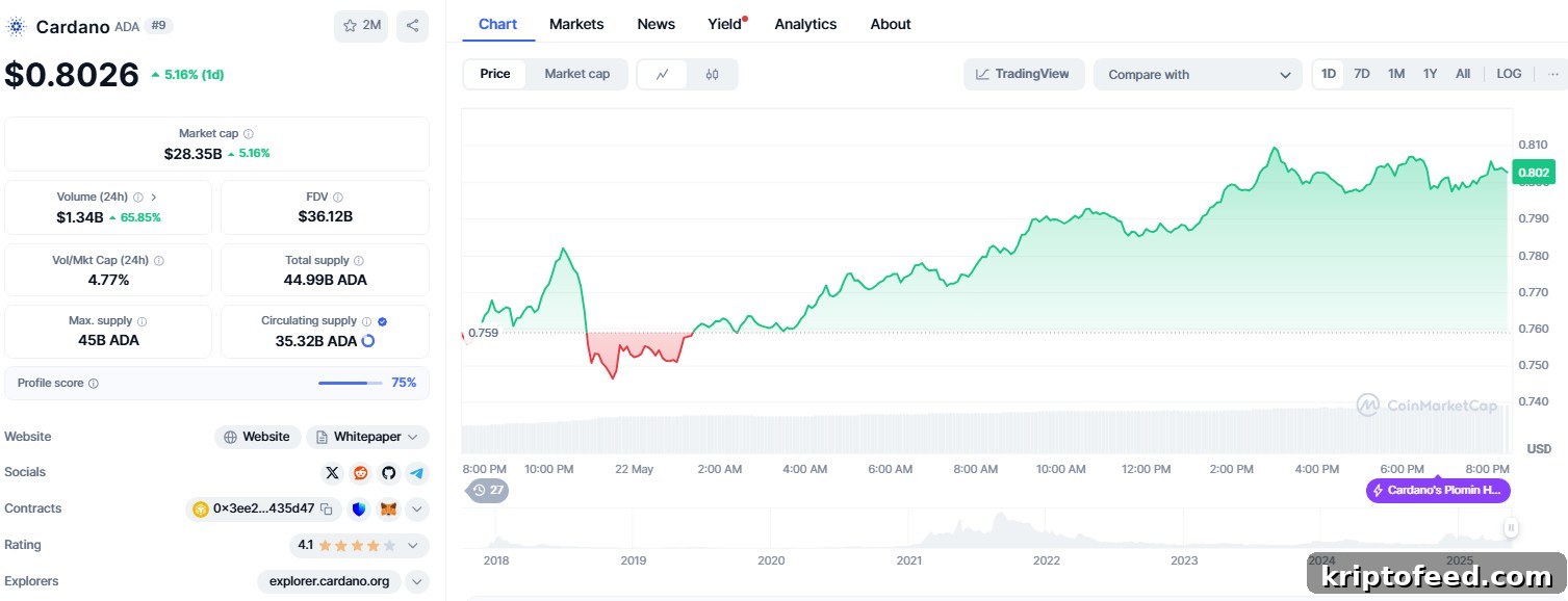 Cardano price