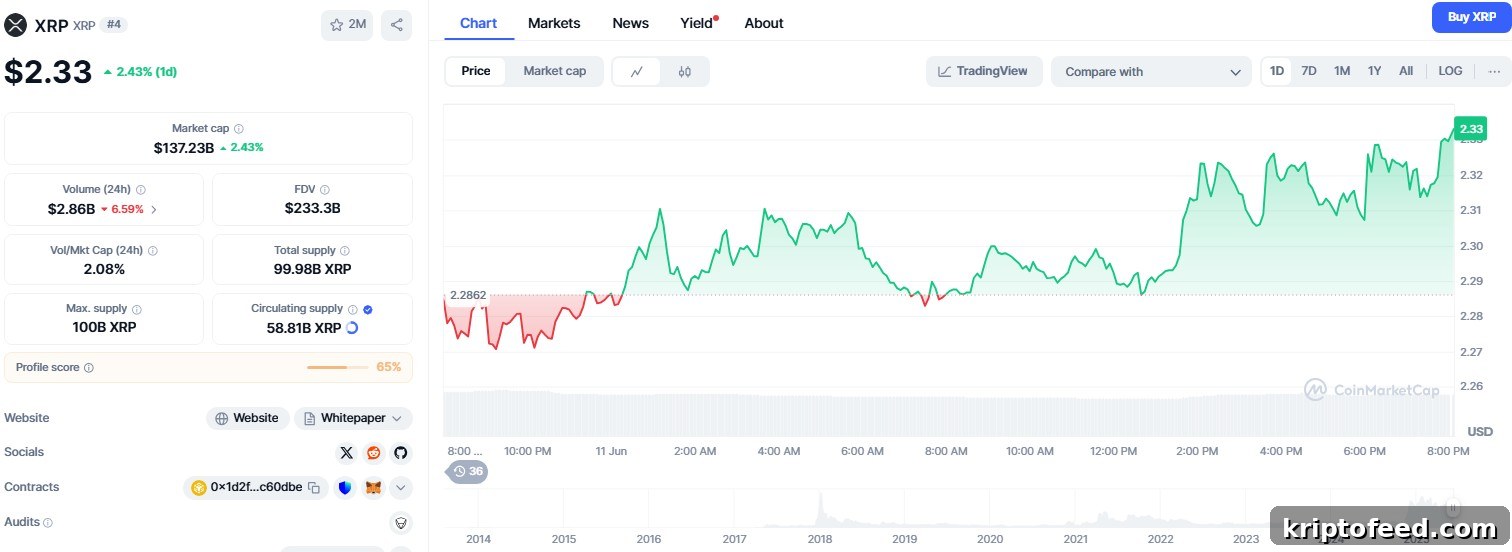 XRP Targets Fresh Gains as Bitcoin Correlation Hits 0.91 and RSI Turns Bullish 2 XRP price