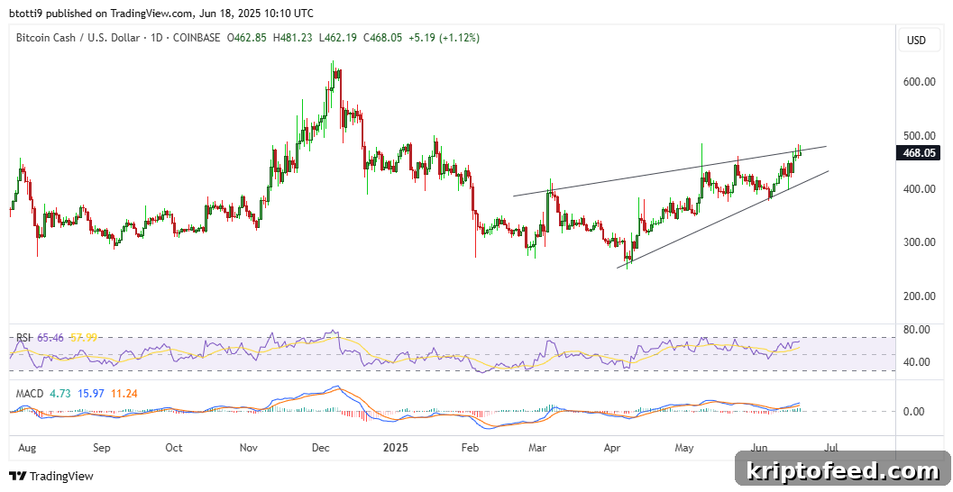 Bitcoin Cash Price Outlook: BCH Holds Steady Despite Profit-Taking 2 img 315693 1