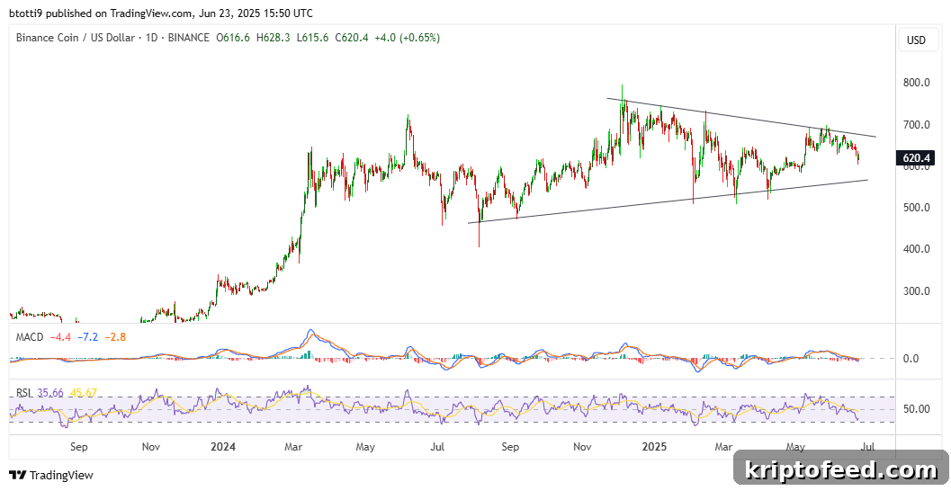 BNB Price Forecast as Hedge Fund Chiefs Eye $100M for MicroStrategy 2 img 317074 1