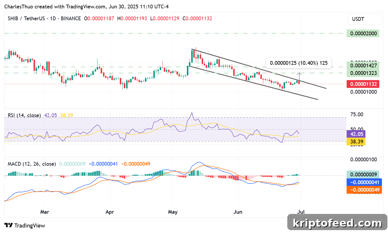 Shiba Inu Price Outlook as Whales Accumulate 10.4 Trillion SHIB 2 Shiba Inu price