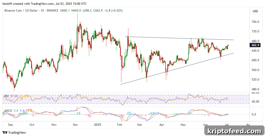 BNB Price Outlook as Nano Labs Acquires $50M in BNB Tokens 2 img 319632 1