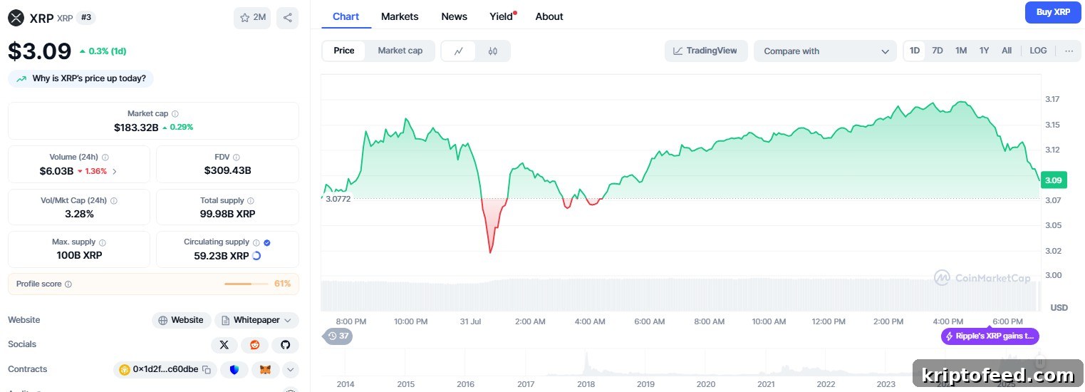XRP Inflows Down 95% Since July Surge — Chaikin Data Signals Potential Upswing 2 XRP price