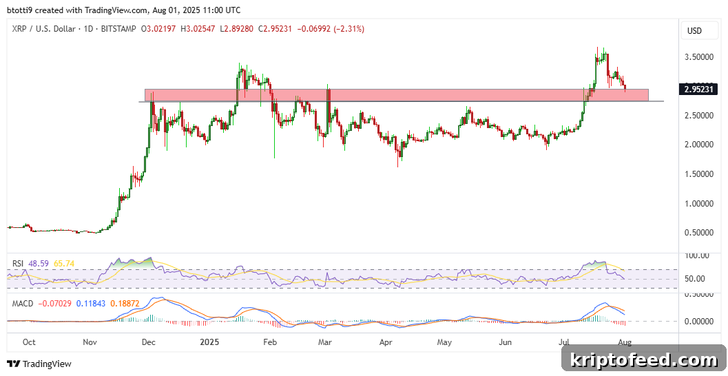XRP Price Forecast: Crypto Slump Hits Bulls as XRP Drops 7% 2 img 326635 1