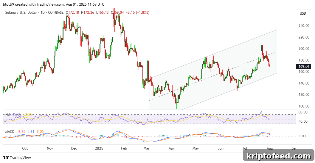Solana Price Forecast: Why SOL Bulls Are Buying the Dip 2 img 326661 1
