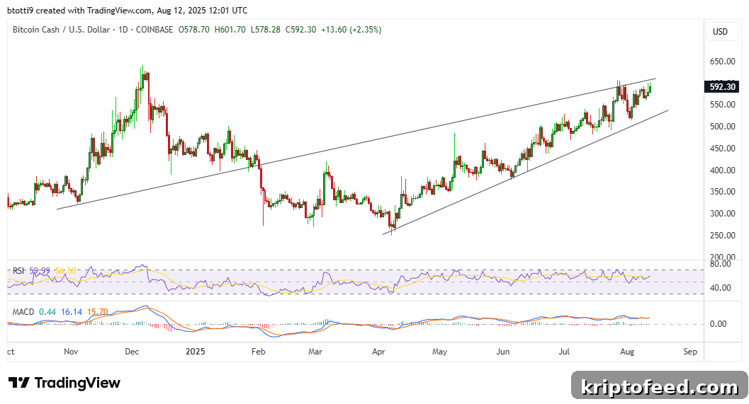 BCH Eyes Breakout as Bitcoin Cash Volume Surges 30% 2 img 329266 1