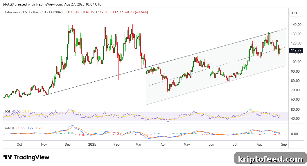 Litecoin Price