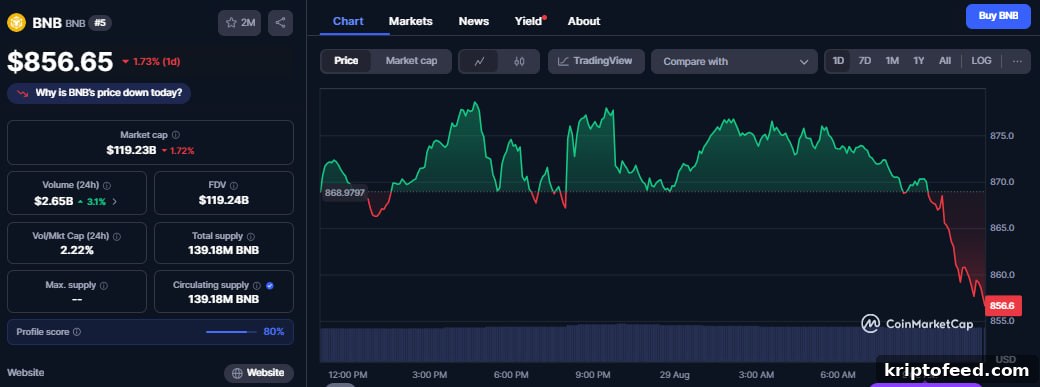 BNB Slips as Binance Futures Faces Temporary Trading Outage 2 img 332860 1