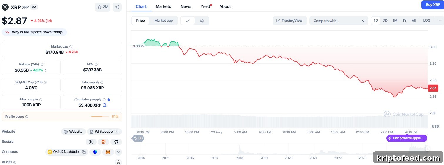 XRP Price Stalls Below $3.00 as Investor Activity Slows 2 XRP price