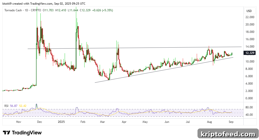 Tornado Price Forecast: TORN Retests Key Level as Bulls Target $20 2 img 333468 1