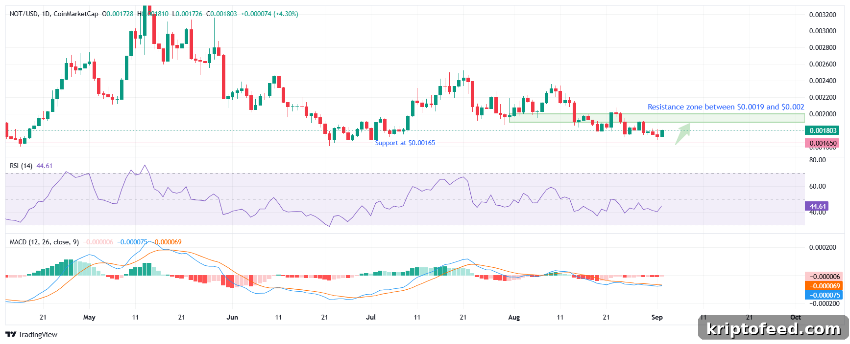 Notcoin Surges Over 5% Signaling Recovery, But Profit-Taking Risk Remains 2 Notcoin price analysis