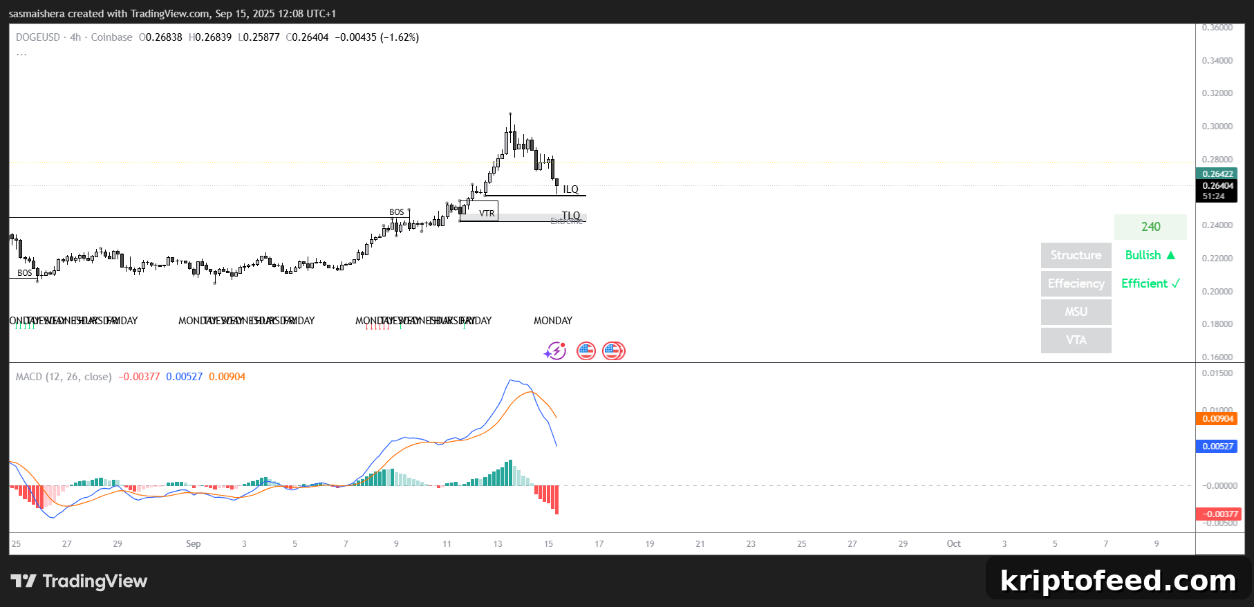 DOGE/USD 4H Chart