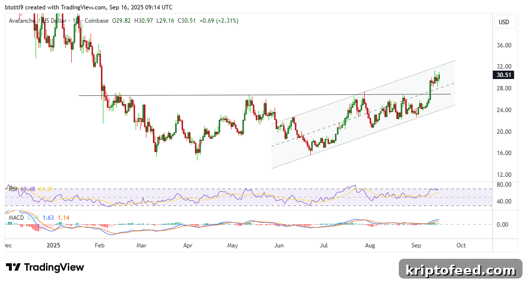 img 335955 1