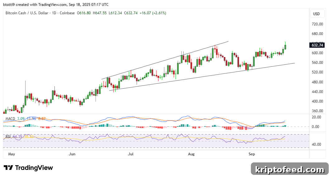 Bitcoin Cash Chart