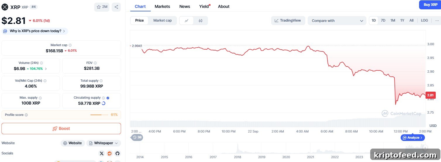 XRP Drops 6% to $2.81 as Bearish Channel Signals Further Decline 2 XRP price