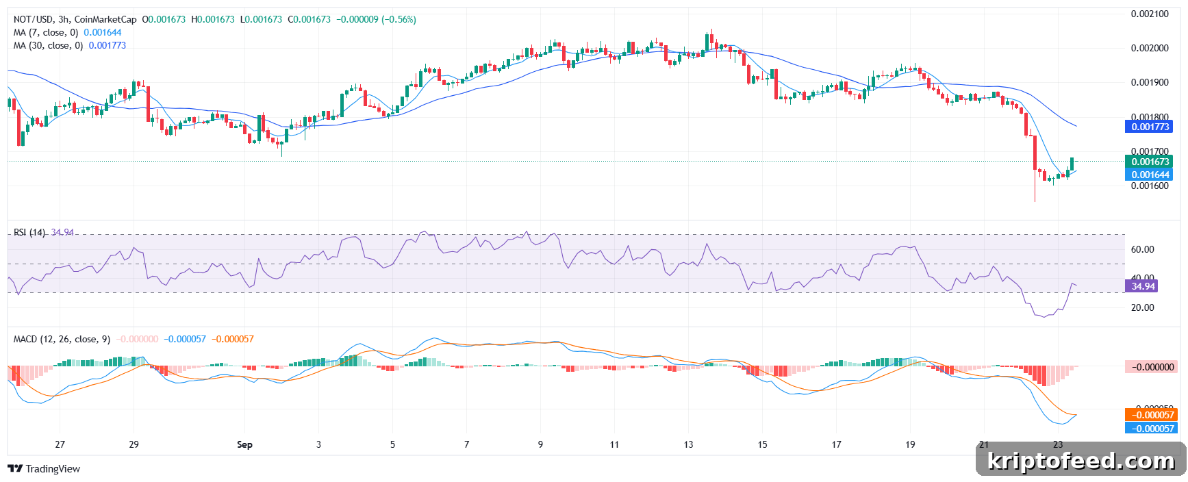 Notcoin Price Rally: Oversold Bounce or Bear Trap? 2 Notcoin price analysis