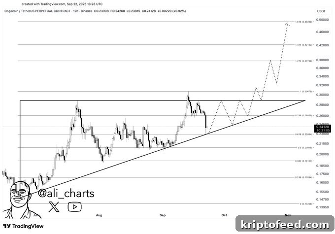 Altcoins Update: Aster Tops Hyperliquid in Futures Volume as DOGE Eyes $0.50 3 img 337667 2