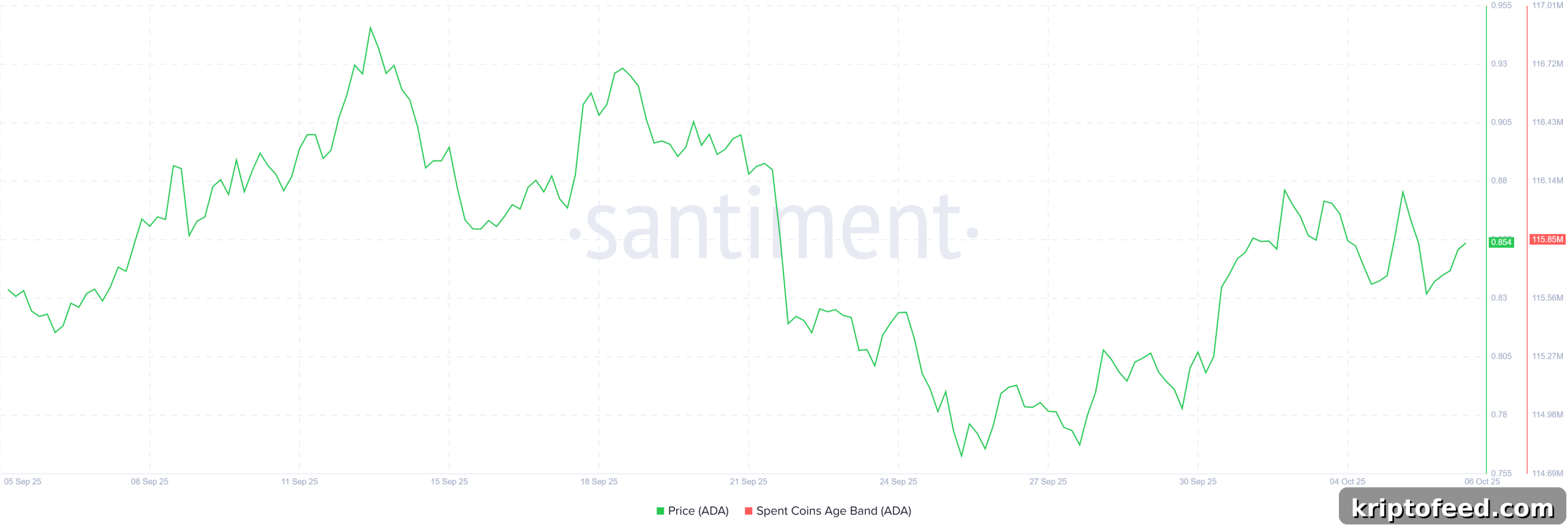 Cardano (ADA) whale accumulation