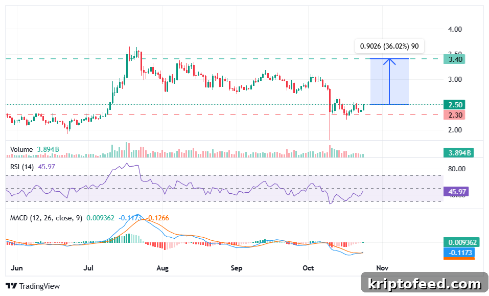 XRP on the Edge: From a 15% Drop to a Supply Shock — Is $12 Next? 2 XRP price analysis