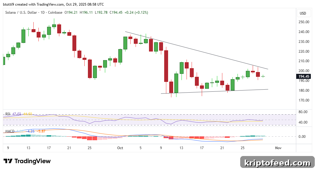 Solana Price Near $200 Despite Recent Drop: What’s Bullish for SOL? 2 img 344101 1