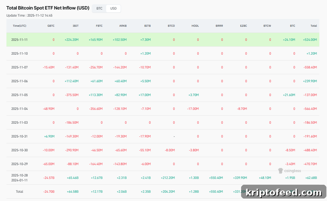 US Bitcoin ETFs inflows