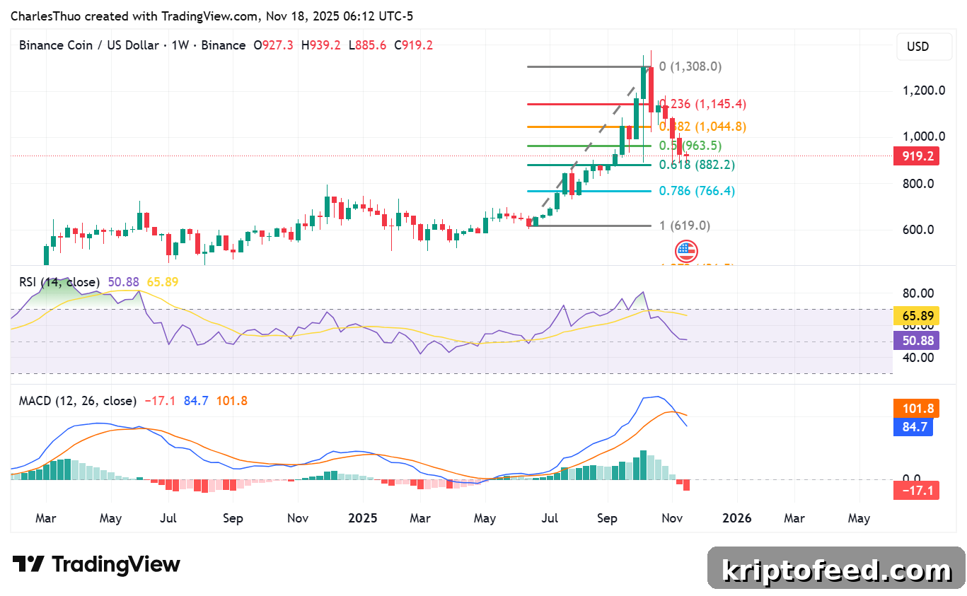 BNB Price Tests $900 Support as Whale Accumulates Amid Market Turmoil 2 BNB price analysis