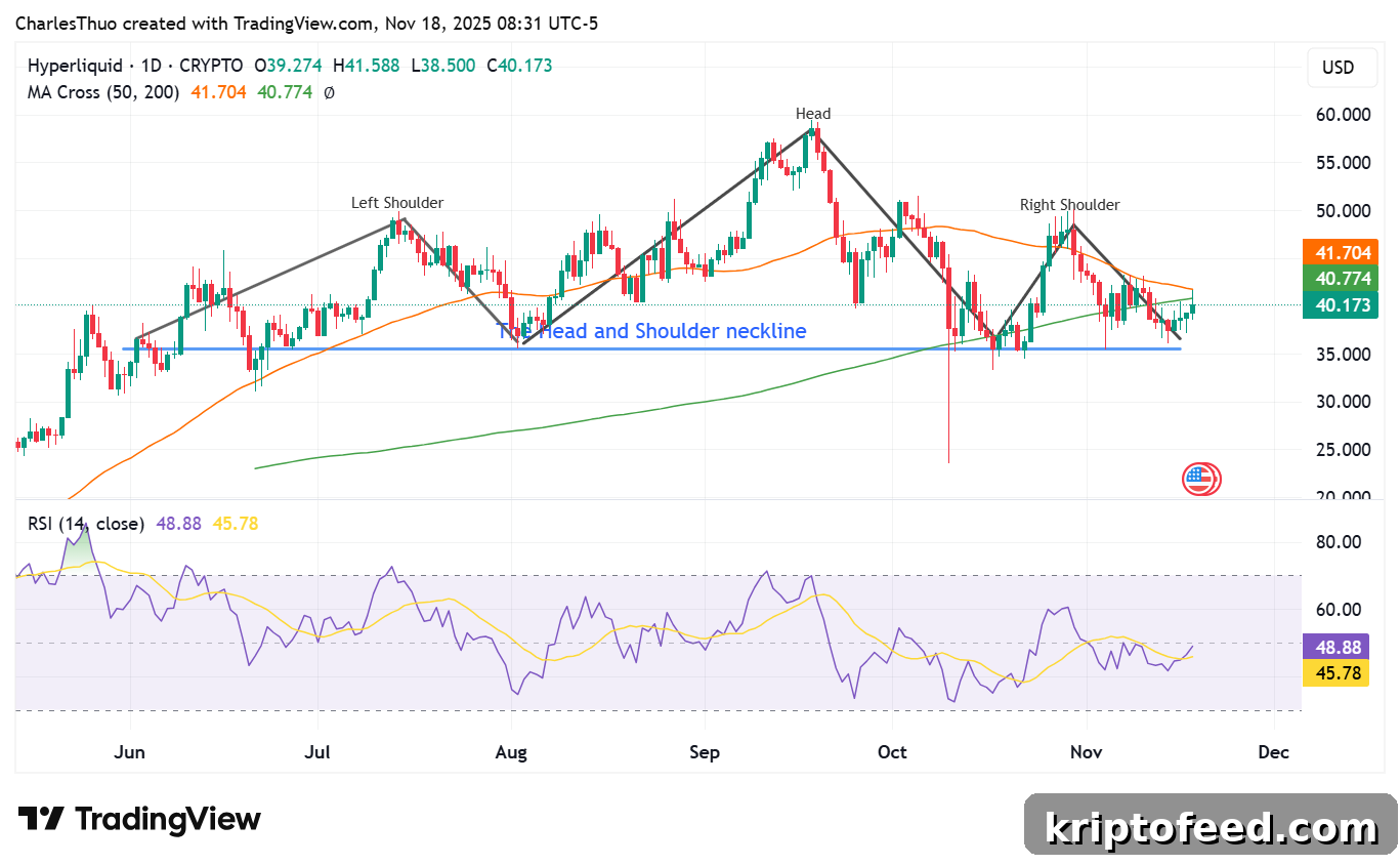 Hyperliquid Rally Fueled by Buybacks and BLP Launch, but Technicals Warn of Pullback 2 Hyperliquid price analysis