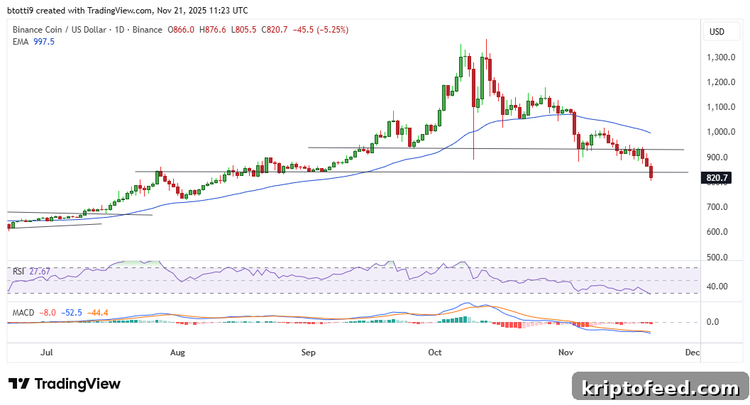 BNB Price Chart