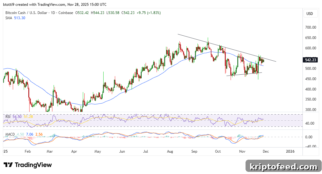 Bitcoin Cash Holds Above $500 as Whales Accumulate; Analysts Eye Recovery Potential 2 Bitcoin Cash Price Chart