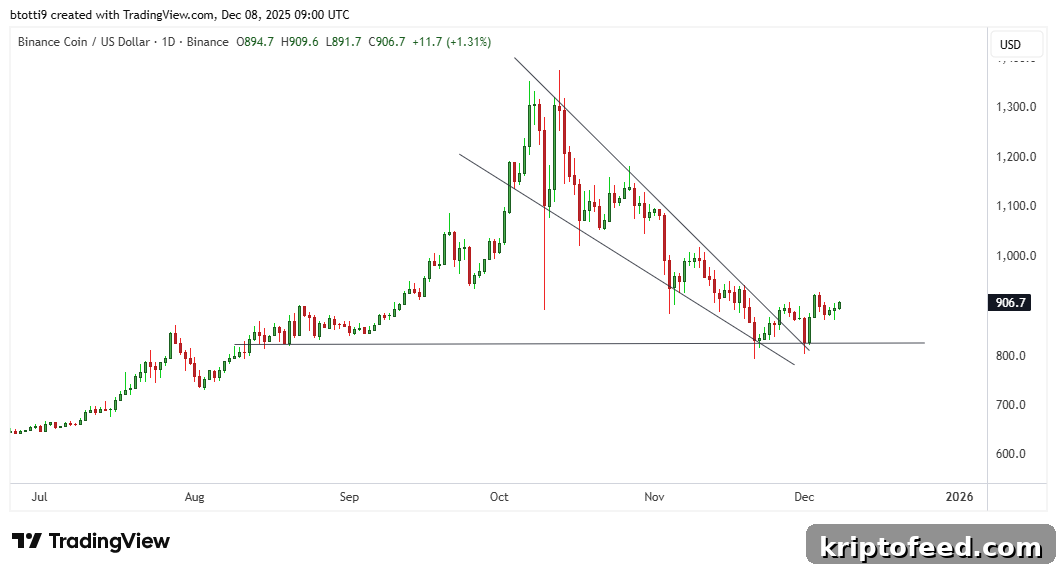 BNB Price Chart