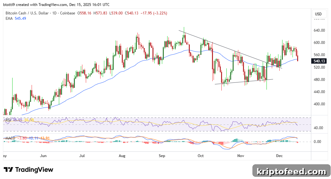 Bitcoin Cash (BCH) Price Outlook as BTC Falls Below $87,000 2 Bitcoin Cash Price