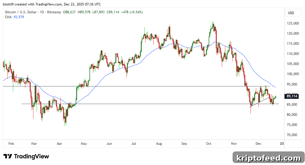 Bitcoin Price Recovers Above $89,000 — Is BTC Poised for More Gains? 2 Bitcoin Price Chart
