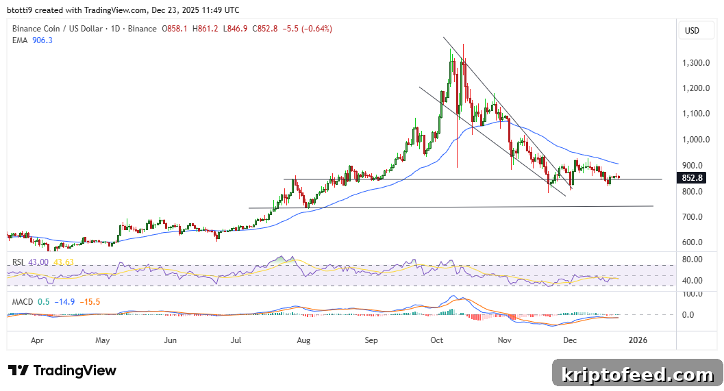 BNB Price Returns to $850 as Whales Threaten Key Support Level 2 BNB Price Chart