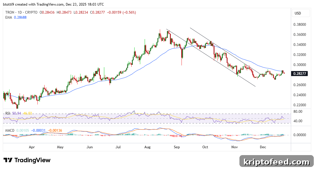 TRON Price Stays at $0.28 as Bulls Hold Firm 2 TRON Price