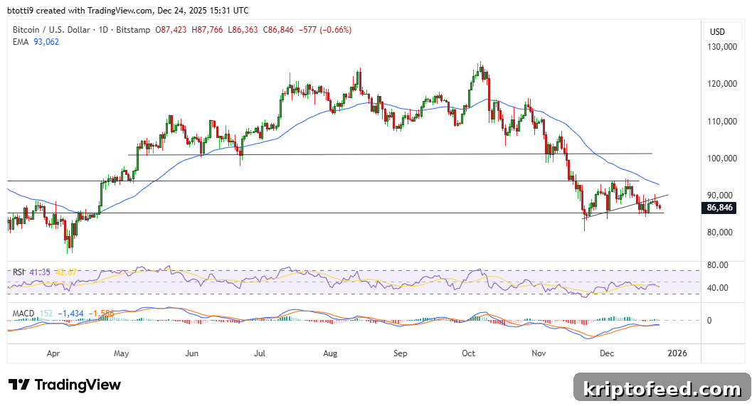 Bitcoin Price Chart