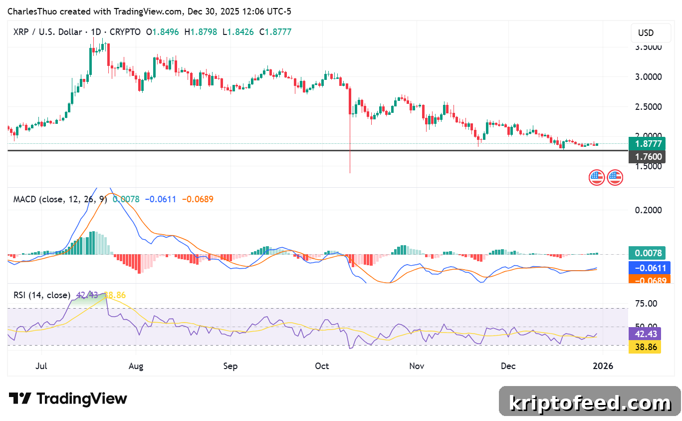 XRP 2026 Outlook: Breakout Ahead or Deeper Drop? 3 XRP price chart