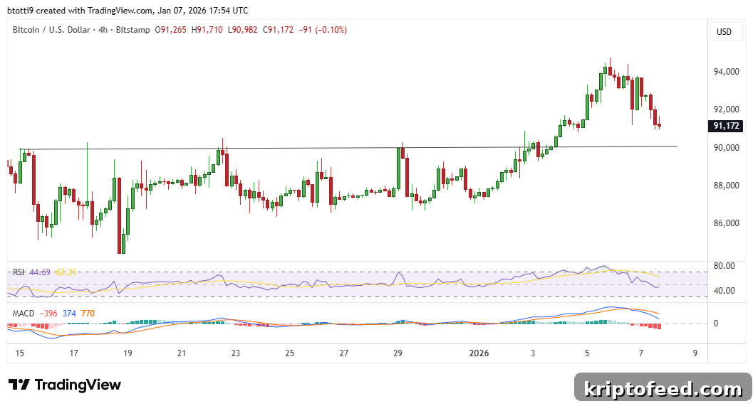 Bitcoin Falls Below $91,000 After $95,000 Rejection as Bears Take Control 2 Bitcoin Chart