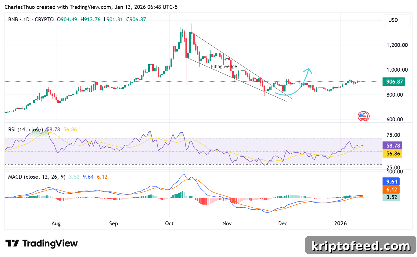 BNB coin price analysis
