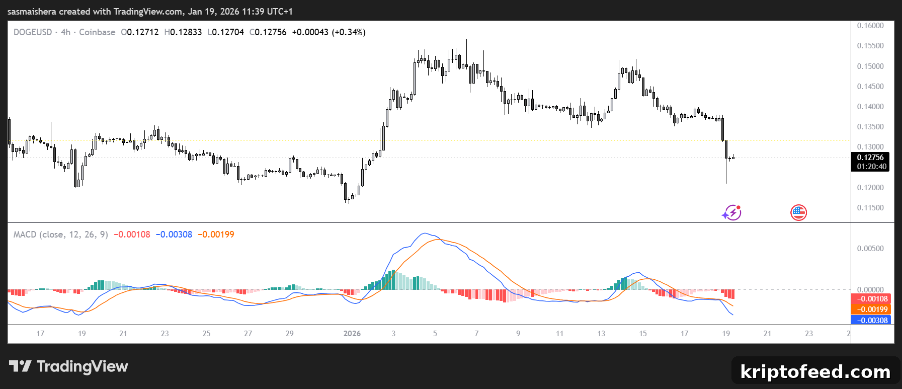 DOGE/USD 4H Chart