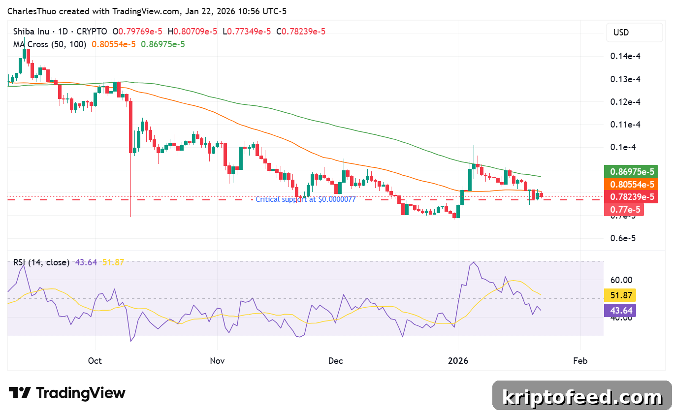 Shiba Inu Faces Critical Support as Growth Outlook Remains Modest 2 Shiba Inu price analysis
