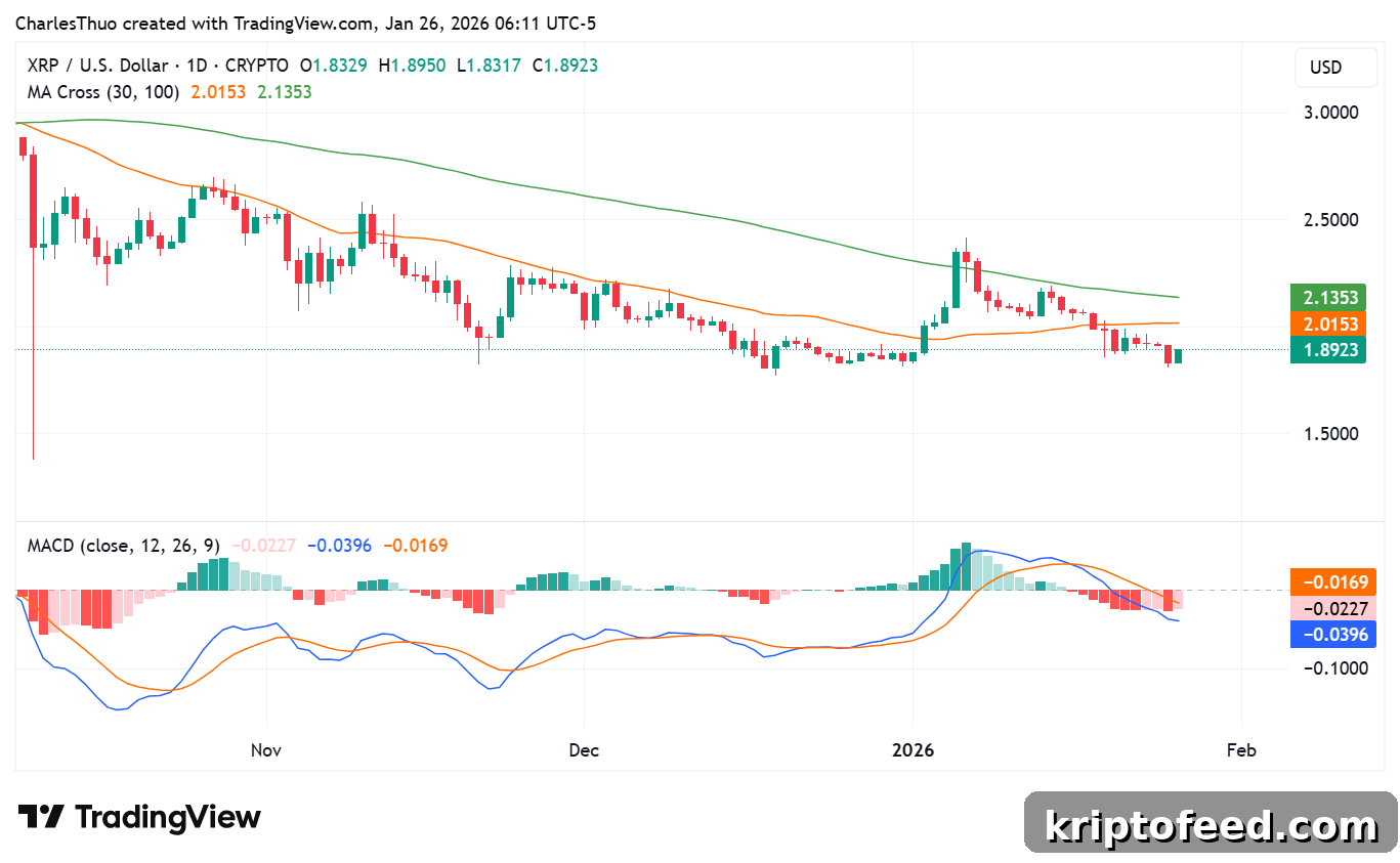 XRP price analysis