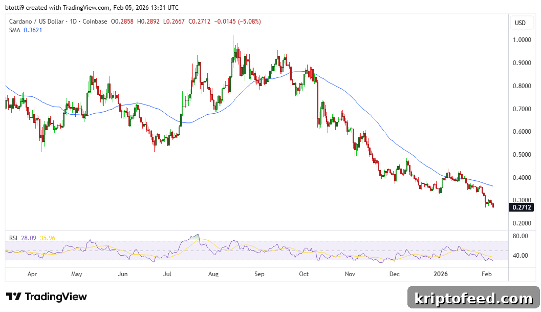 Cardano Plunges as Bitcoin Surges Past $70K, Triggering Bear-Cycle Fears 2 Cardano Price Chart
