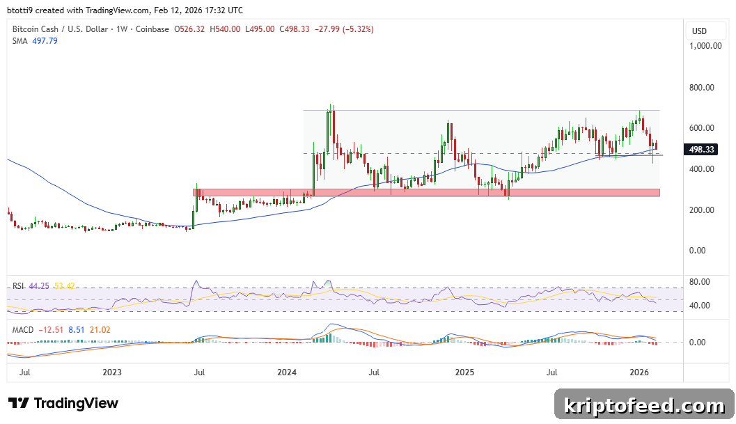 Bitcoin Cash BCH Price Chart